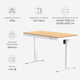 FlexiSpot Scrivania Q3
